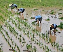 龙8国际登录网站-风云突变！奥兰多魔术今晨止住颓势，西甲版图或变，赛场秩序良好，赛程密集仍需轮换