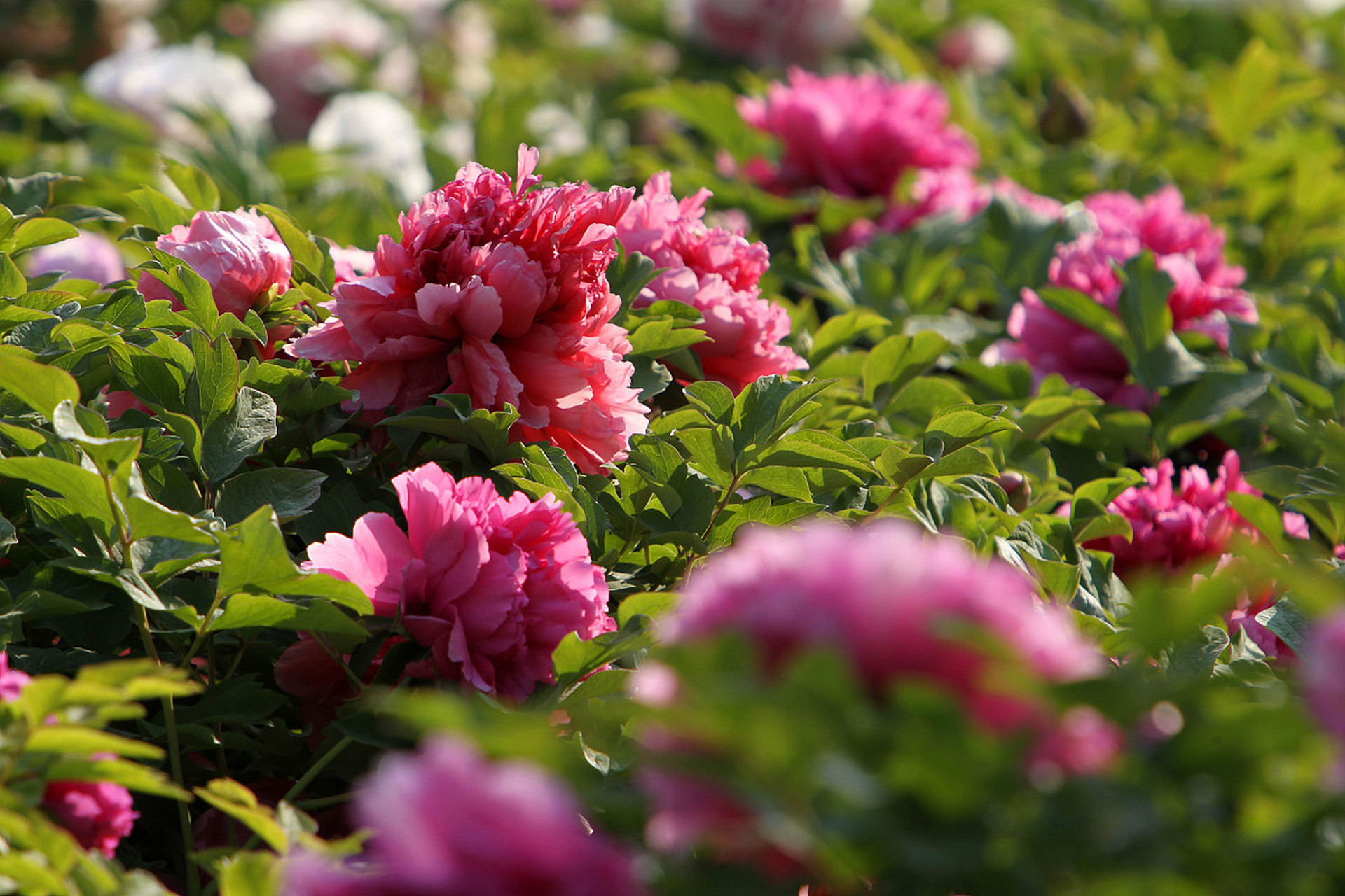 龙八国际官网入口-印第安纳步行者主场